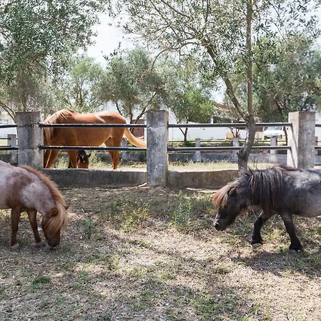 Masia Rovira - Esc1852 San Lorenzo de Hortóns